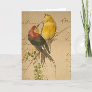 Vintage Birds and Ledger Paper, Christmas Holiday Card