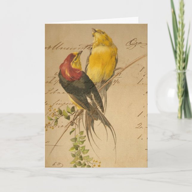 Vintage Birds and Ledger Paper, Christmas Holiday Card (Front)