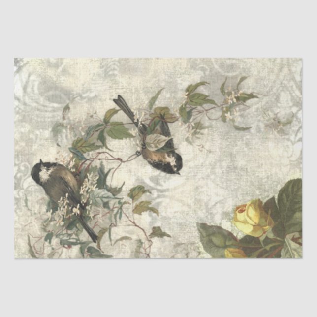 Vintage Birds and Roses Shabby Chic Tissue Paper (Front)