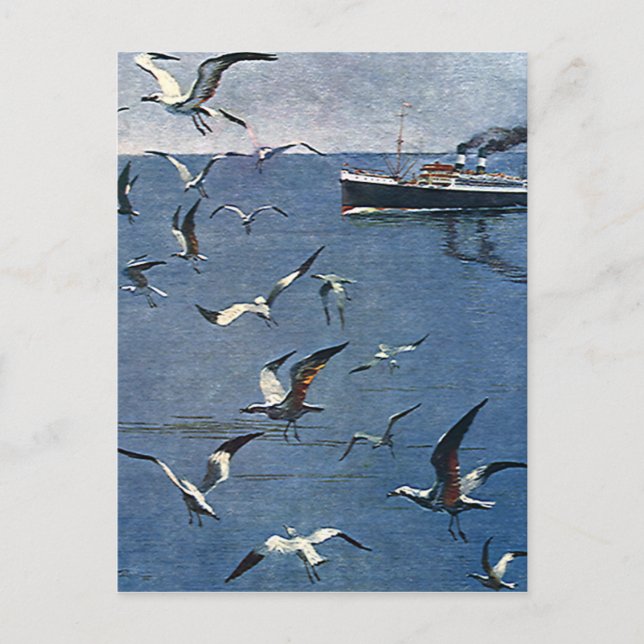 Vintage Birds Animals, Seagulls and Fishing Boats Postcard (Front)
