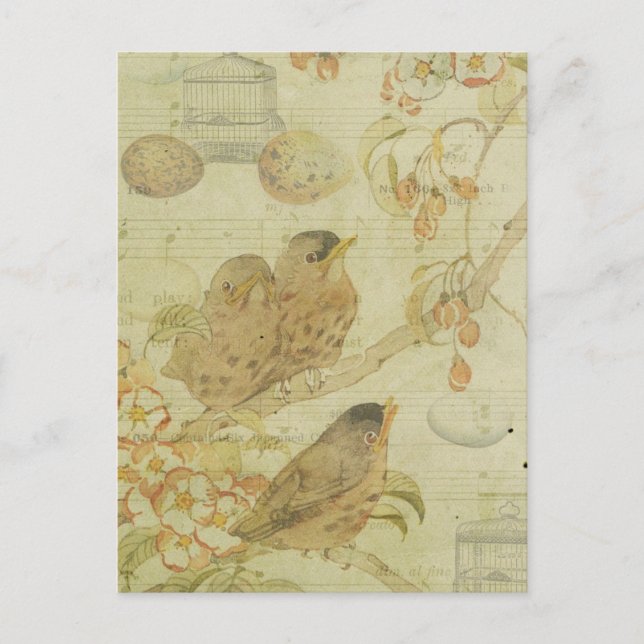 Vintage Birds Branch Birdcage Eggs Music Sheet Postcard (Front)