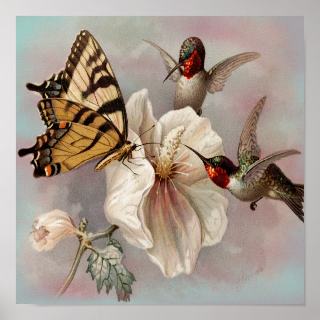 Vintage Birds & Butterfly Sharing a Meal Poster (Front)