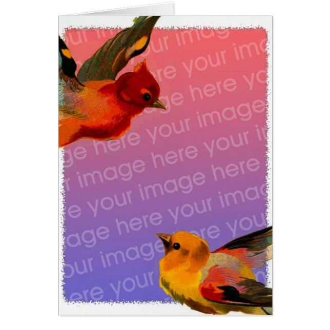 Vintage Birds Frame (Front)