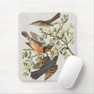Vintage Birds Illustration Birdwatching Lover Gift Mouse Mat