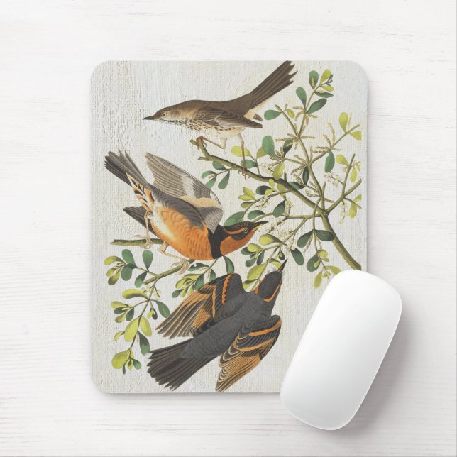 Vintage Birds Illustration Birdwatching Lover Gift Mouse Mat (With Mouse)