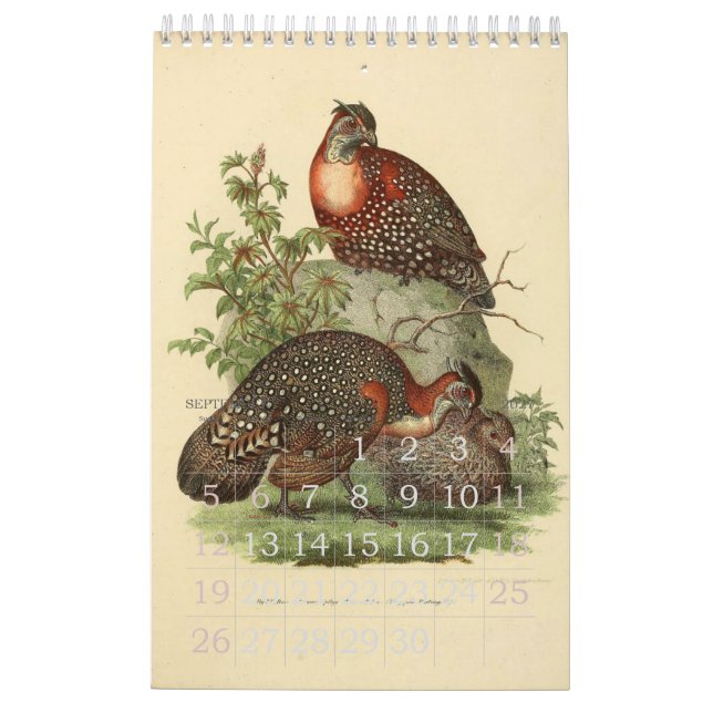 Vintage Birds Illustration Collection Calendar (Sep 2027)