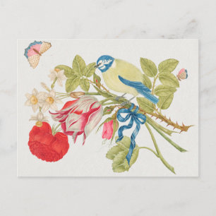 Vintage Birds Illustration Postcard