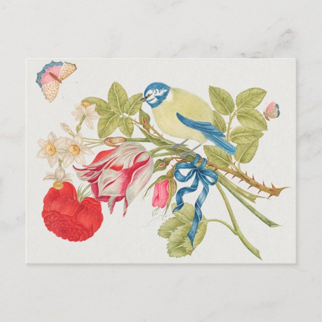 Vintage Birds Illustration Postcard (Front)