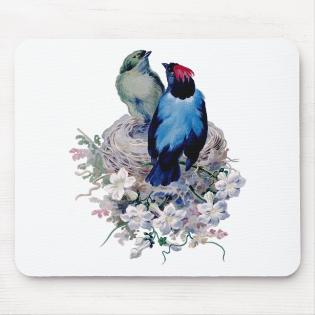 Vintage Birds Mouse Mat (Front)