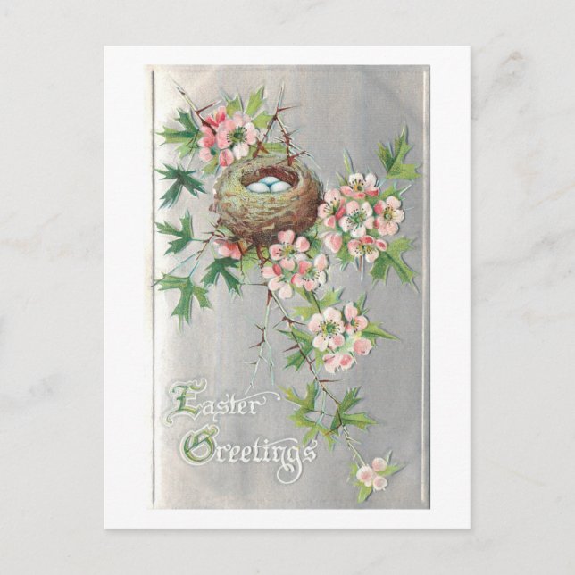 Vintage Bird's Nest, Flowers & Easter Greeting Holiday Postcard (Front)