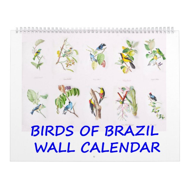 Vintage Birds of Brazil Wall Calendar (Cover)