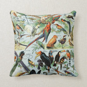 Vintage Birds of the World Cushion