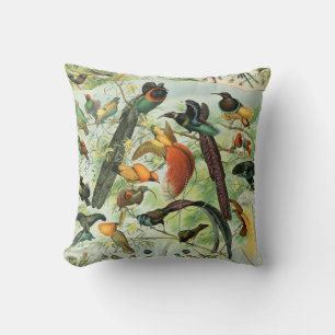 Vintage Birds Old Book Illustration Art Animals Cushion