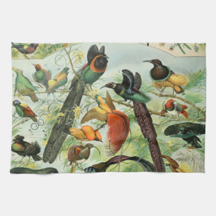 Vintage Birds Old Book Illustration Art Animals Tea Towel