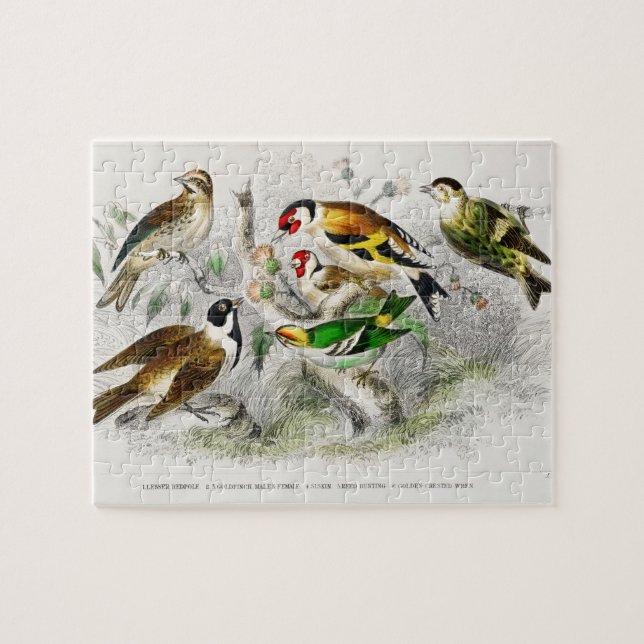 Vintage Birds Old Book Illustration Art Jigsaw Puzzle (Horizontal)