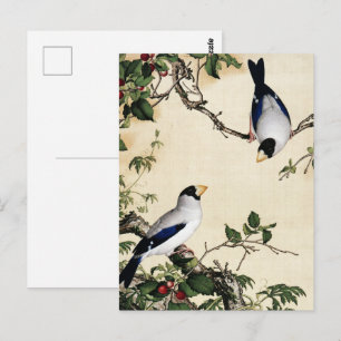 Vintage Birds on Cherry Branch Art Painting Postcard