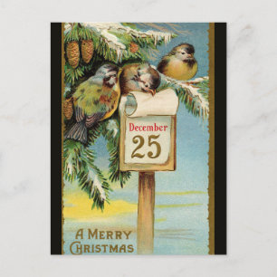 Vintage Birds on December 25 Postcard