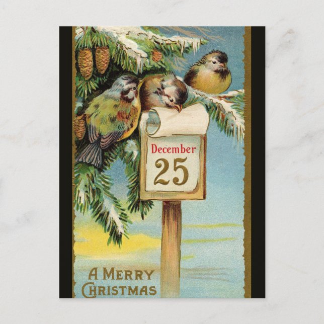 Vintage Birds on December 25 Postcard (Front)
