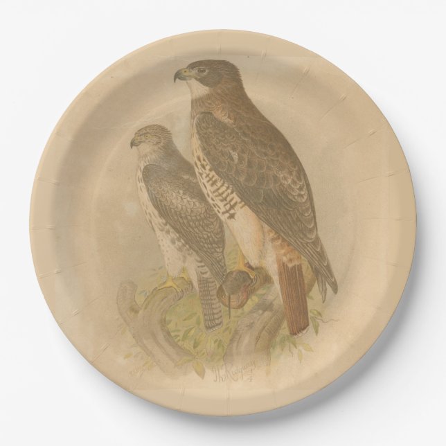 Vintage Birds Paper Plate (Front)