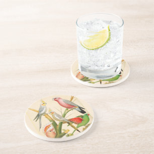 Vintage Birds- parakeets, Tropical birds Coaster