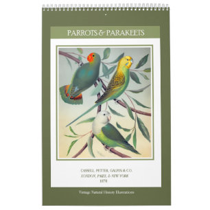 Vintage Birds - Parrots and Parakeets 2025 Calendar