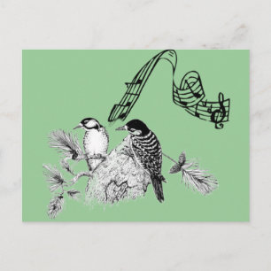 Vintage Birds Postcard