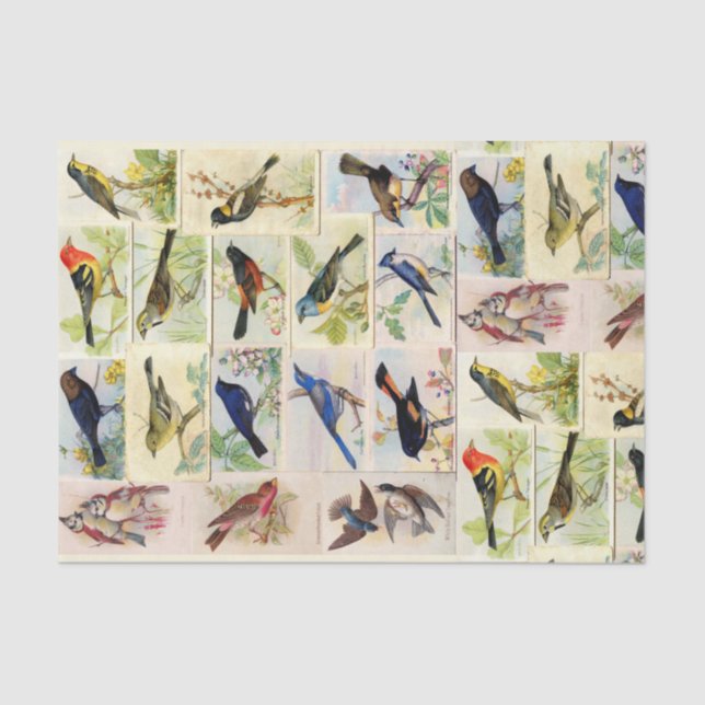 Vintage Birds Postcards Decoupage Tissue Paper (Front)
