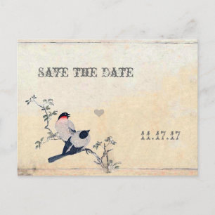 Vintage Birds Save the Date Announcement Postcard