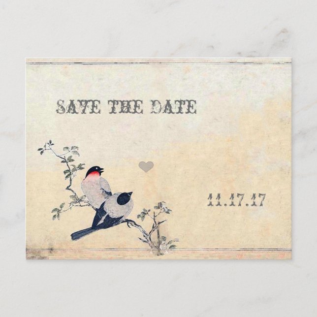 Vintage Birds Save the Date Announcement Postcard (Front)
