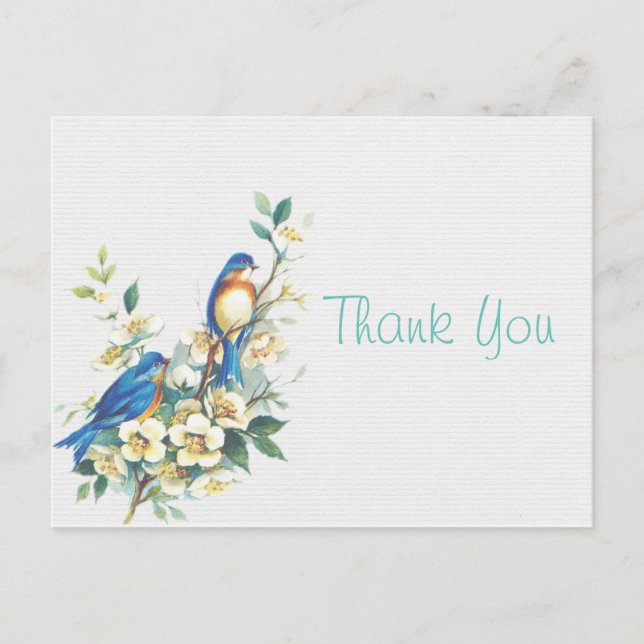 Vintage Birds Thank You Postcard (Front)