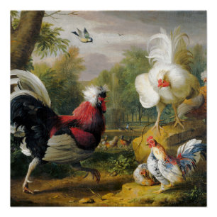 Vintage Birds The Cockrels Fight       Poster