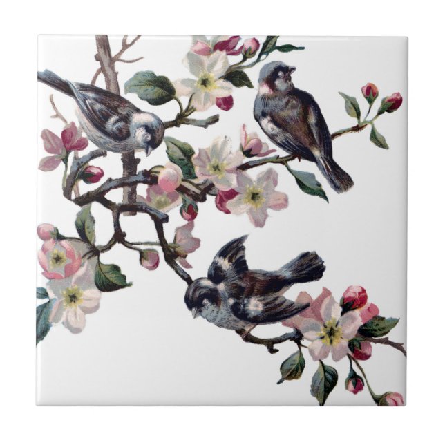Vintage Birds Tile (Front)