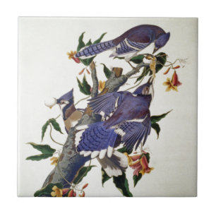 Vintage Birds Tile