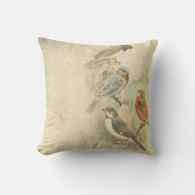 Vintage Birds Worn Design Cushion (Front)