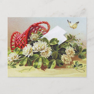 Vintage Birthday Postcard