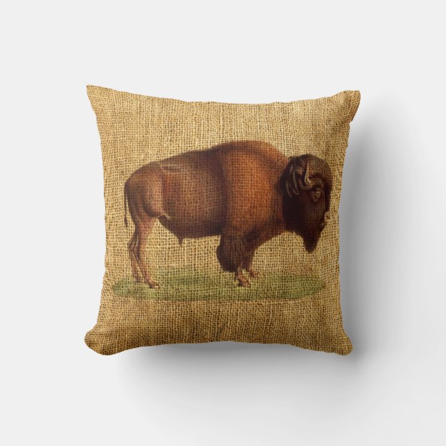 Vintage Bison American Buffalo Illustration Cushion (Front)