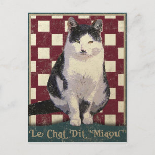 Vintage Bistro Cat Postcard