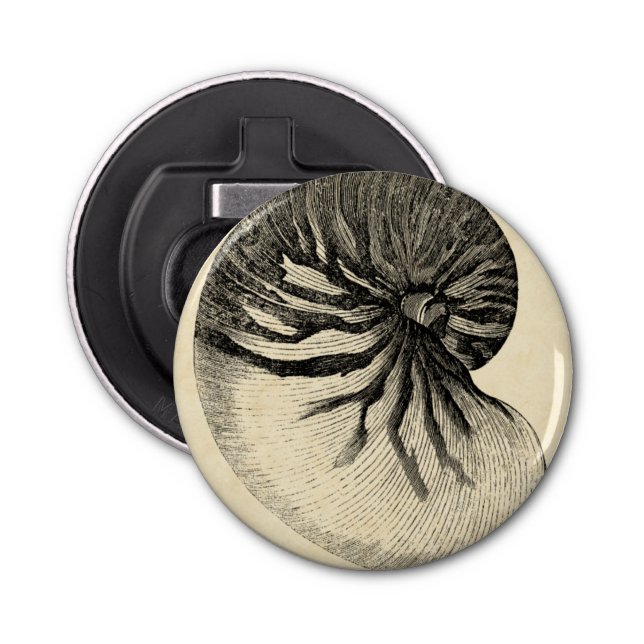 Vintage Black and White Conch Shell Bottle Opener (Front)