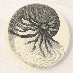 Vintage Black and White Conch Shell Coaster