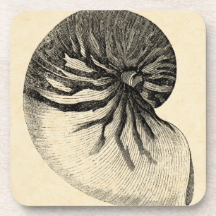 Vintage Black and White Conch Shell Coaster