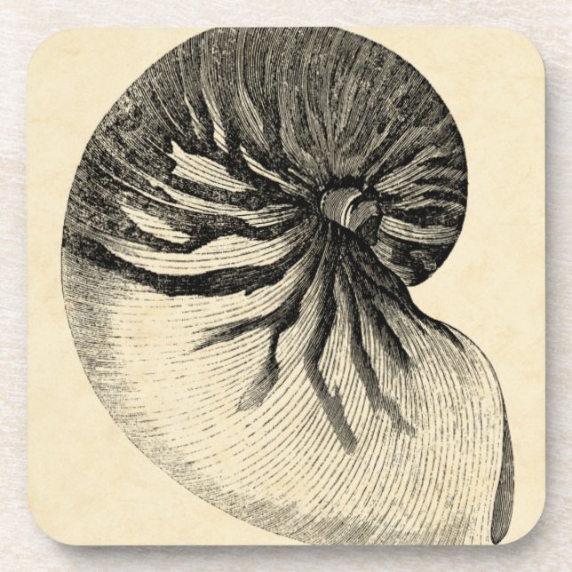 Vintage Black and White Conch Shell Coaster (Front)