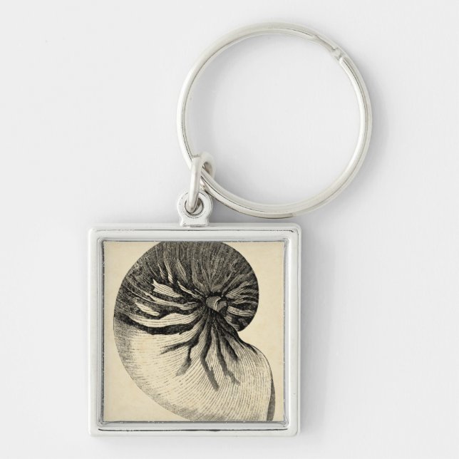Vintage Black and White Conch Shell Key Ring (Front)