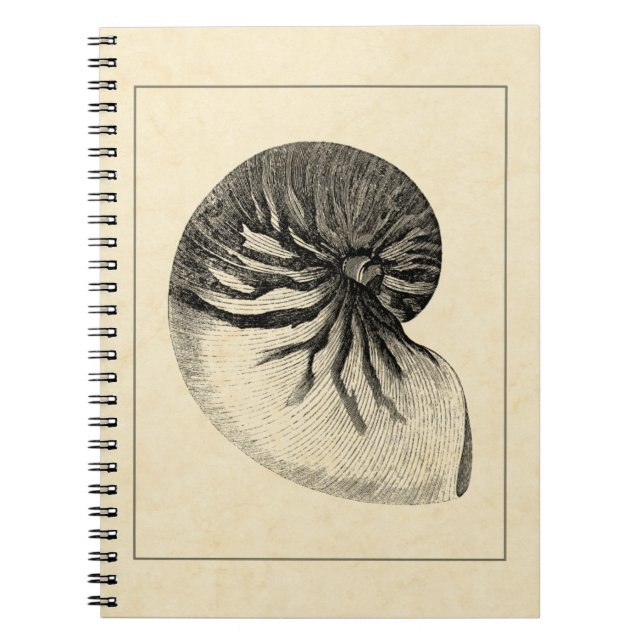 Vintage Black and White Conch Shell Notebook (Front)