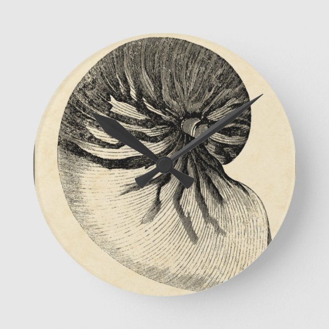 Vintage Black and White Conch Shell Round Clock (Front)