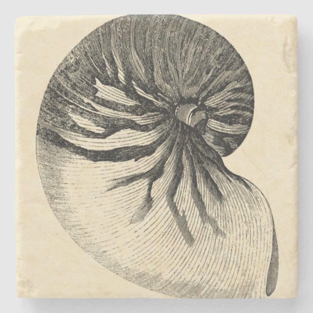 Vintage Black and White Conch Shell Stone Coaster (Front)