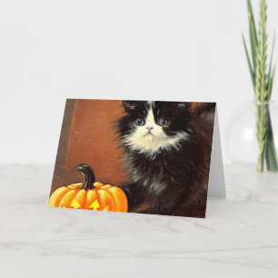 Vintage Black and White Halloween Kitten Invitation