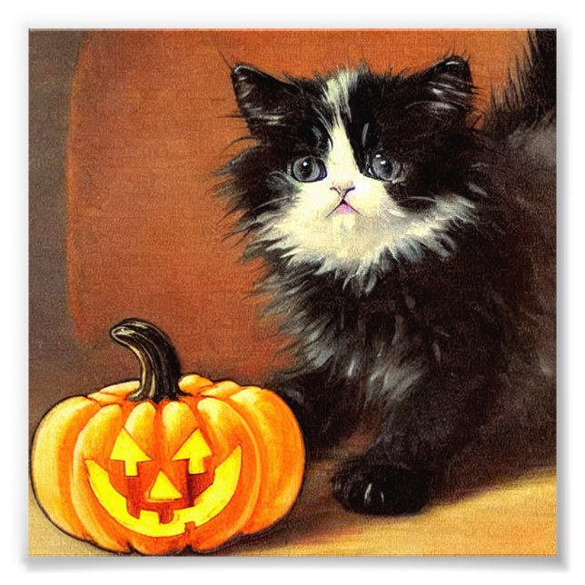 Vintage Black and White Halloween Kitten Photo Print (Front)