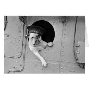 Vintage Black and White Military Bulldog Nautical