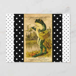 Vintage Black and White Polka Dot Frog Post Card