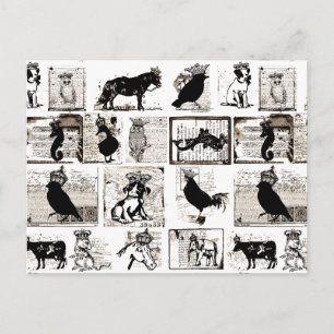 Vintage Black And White Royal Animals Postcard